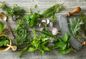 Čím povzbudit trávení, abychom se lépe vypořádali s těžkým jídlem?