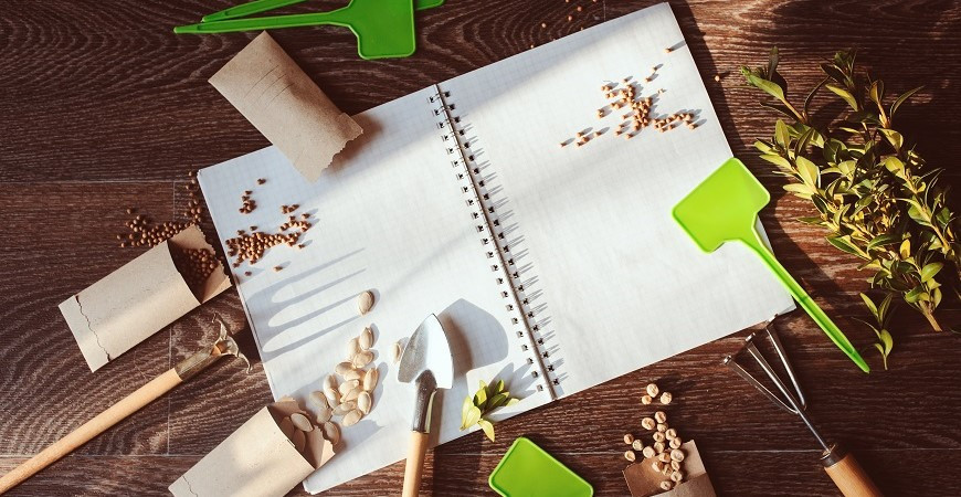 Jarní výsadby - jaké jsou nejoblíbenější jarní trvalky?