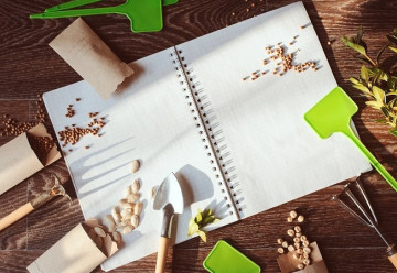 Jarní výsadby - jaké jsou nejoblíbenější jarní trvalky?