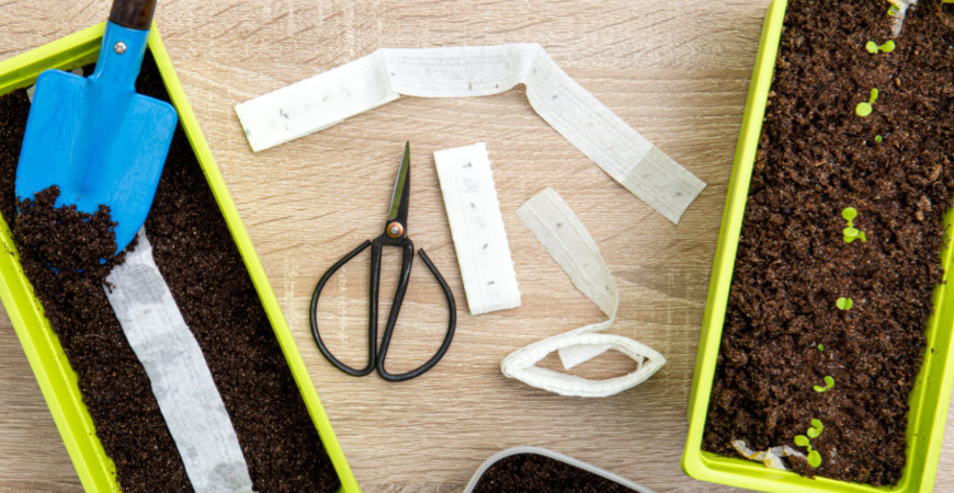 Pěstování pomocí výsevních pásků a disků