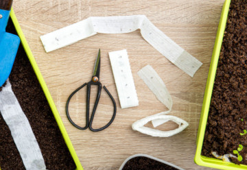 Pěstování pomocí výsevních pásků a disků