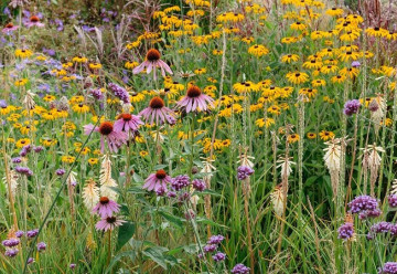 Jak na nenáročnou okrasnou zahradu?