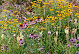 Jak na nenáročnou okrasnou zahradu?