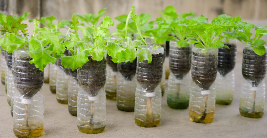 Domácí samozavlažovací květináče