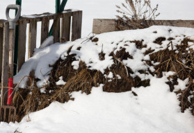 Jak udržet kompost aktivní i v chladných měsících