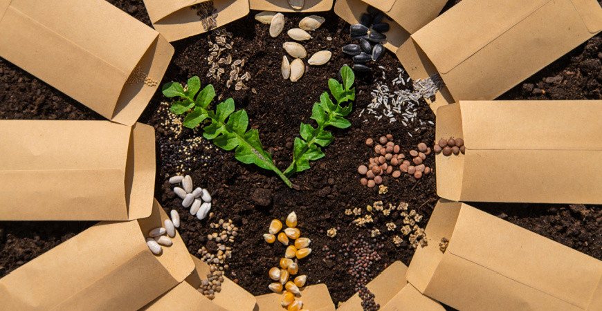 Jak vybrat nejlepší semena pro vaši zahradu