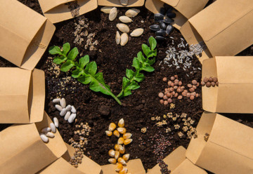 Jak vybrat nejlepší semena pro vaši zahradu