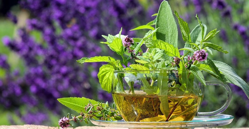 Bylinky pro lepší spánek