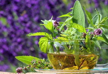 Bylinky pro lepší spánek