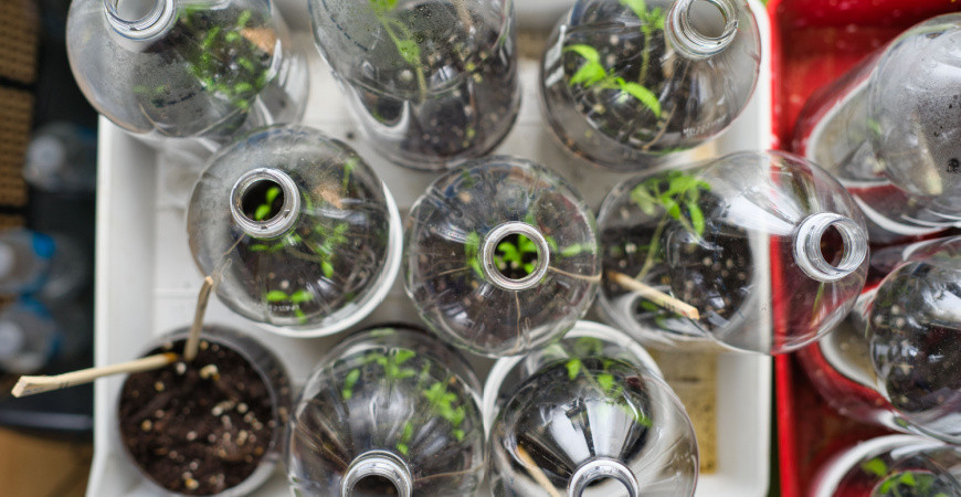 Výroba vlastního miniskleníku z PET lahve