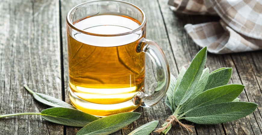 Šalvěj a její léčivé účinky