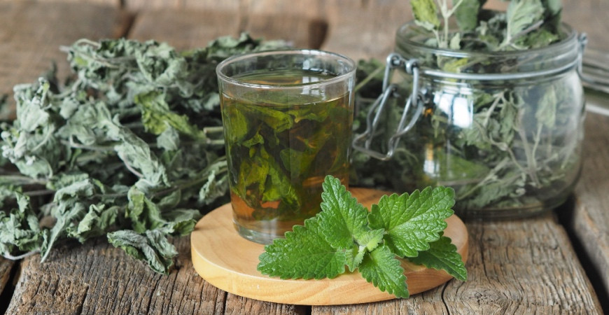 Bylinné čaje - Výluh, nálev nebo odvar?