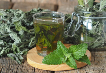 Bylinné čaje - Výluh, nálev nebo odvar?
