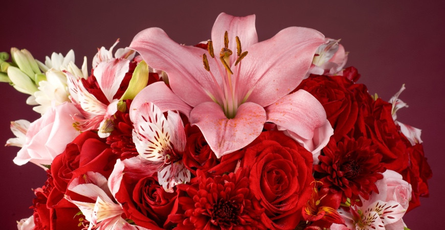 Nejkrásnější řezané květiny - Zahrada plná barev a vůní (1)