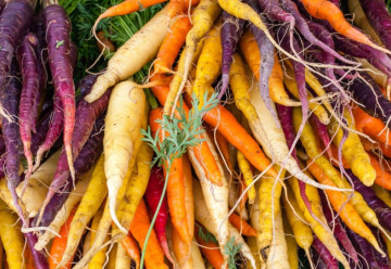 Mezinárodní den mrkve - Vypěstujte si mrkev s námi