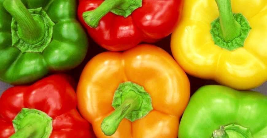 Vše o paprikách (část 2.)