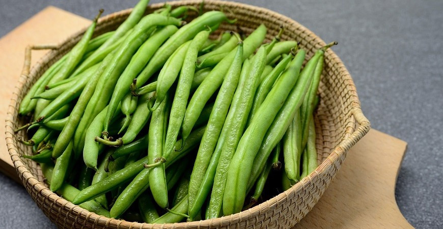 Rozdíl mezi keříčkovou a tyčkovou fazolí