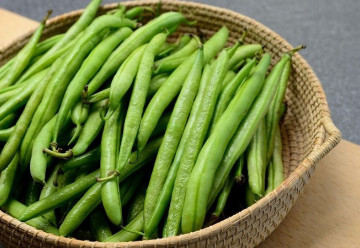 Rozdíl mezi keříčkovou a tyčkovou fazolí