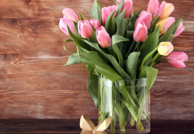 Jak prodloužit životnost tulipánů ve váze?