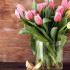 Jak prodloužit životnost tulipánů ve váze?