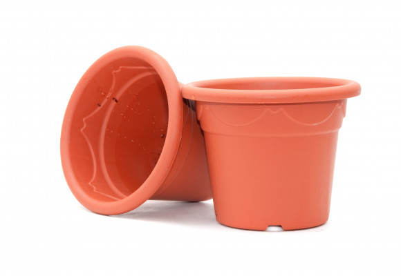 Pěstujeme v nádobách