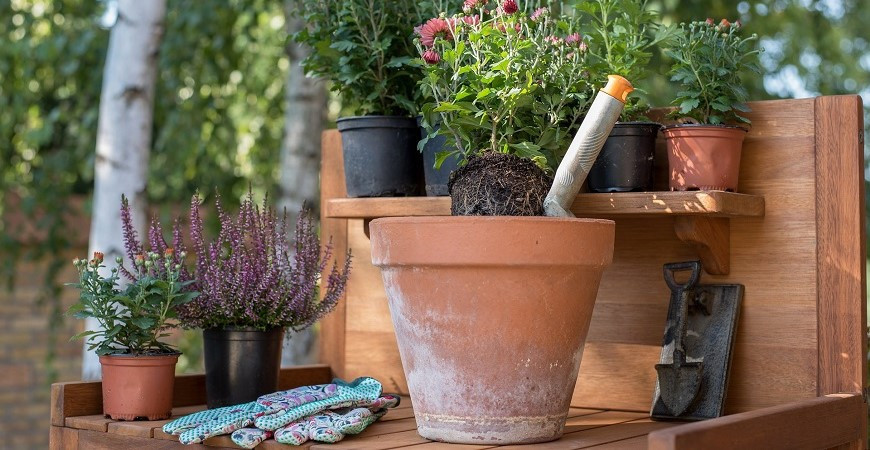 Hnojení zahrady na podzim