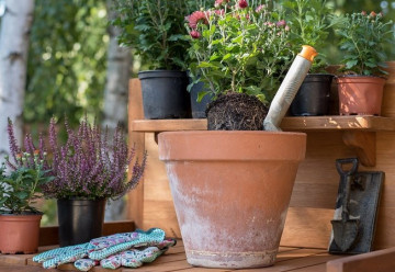 Hnojení zahrady na podzim