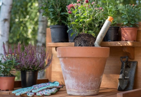 Hnojení zahrady na podzim