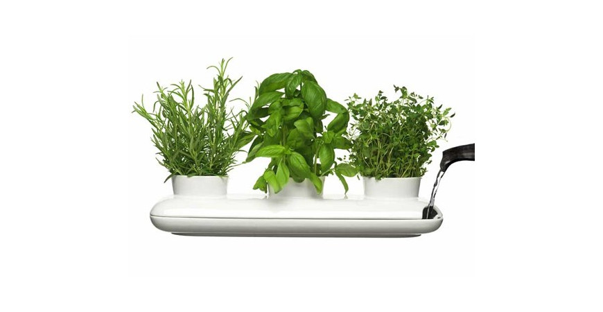 Bylinkový truhlík můžete mít po ruce celý rok