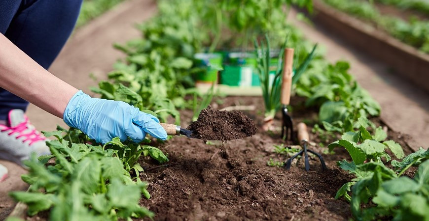 V dubnu jsou zahradníci ve svém živlu