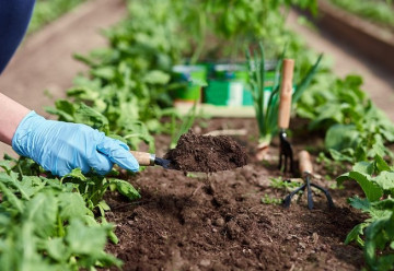 V dubnu jsou zahradníci ve svém živlu