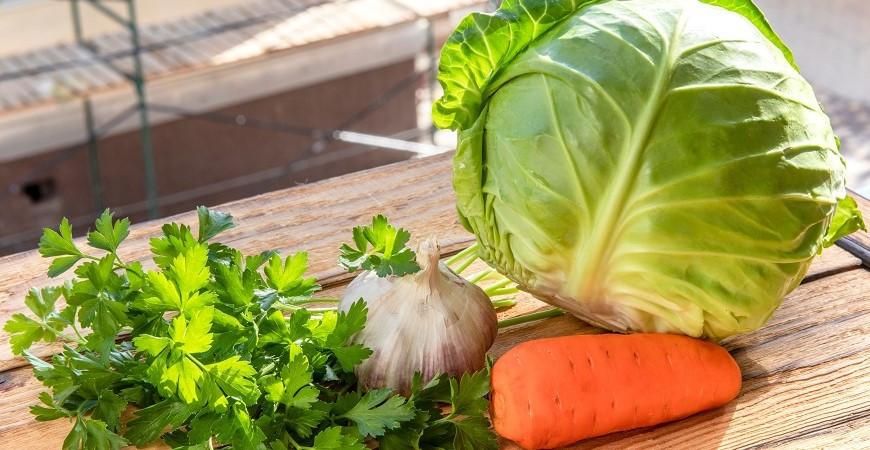 Vysejete-li je na podzim, brzy z jara budete moci sklízet zeleninu plnou vitaminů