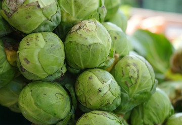 Růžičková kapusta, aneb pěstování vitaminů v zimě 