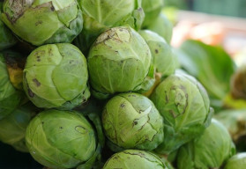 Růžičková kapusta, aneb pěstování vitaminů v zimě 