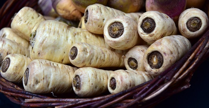 Pastinák - pokud nevzejde petržel, je ideální náhradou