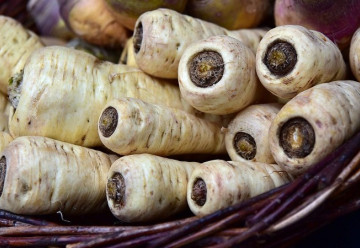 Pastinák - pokud nevzejde petržel, je ideální náhradou