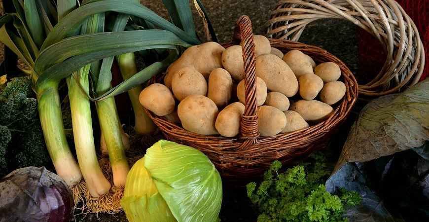 Jak uchovat sklizenou zeleninu a ovoce až do předjaří?