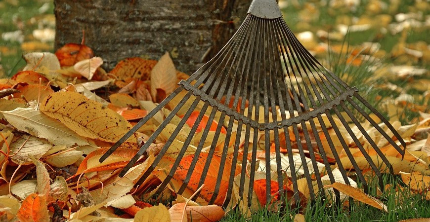 Říjen v zahradě, sezóna je skoro u konce