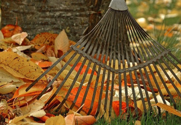 Říjen v zahradě, sezóna je skoro u konce