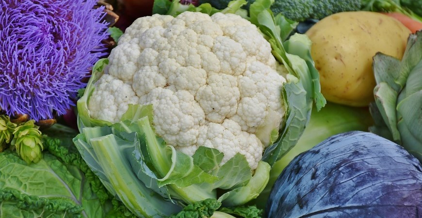 Pěstujete-li zeleninu z vlastních výsevů, máte nejvyšší čas se setím některých druhů