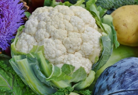 Pěstujete-li zeleninu z vlastních výsevů, máte nejvyšší čas se setím některých druhů