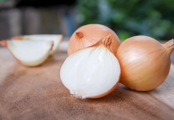 Pěstování cibule ze semen