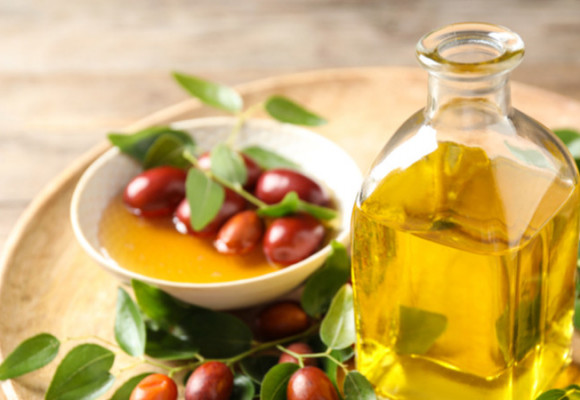 Vypěstujte si jojobu